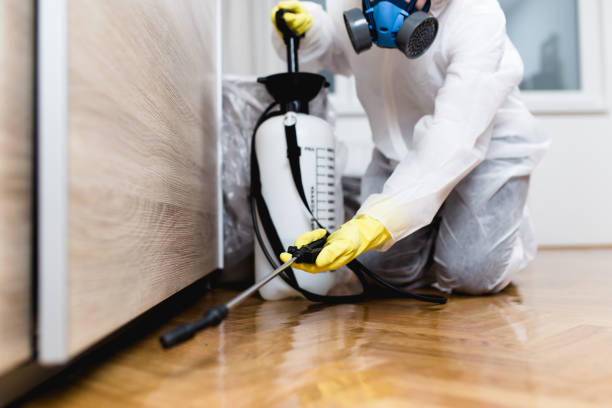 Best Emergency Pest Control  in Cushing, OK