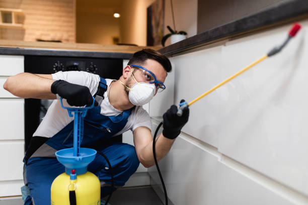 Best Pest Removal Services  in Cushing, OK