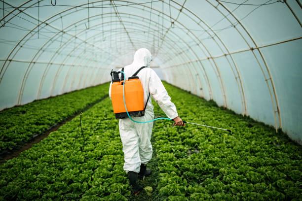 Best Affordable Exterminators  in Cushing, OK